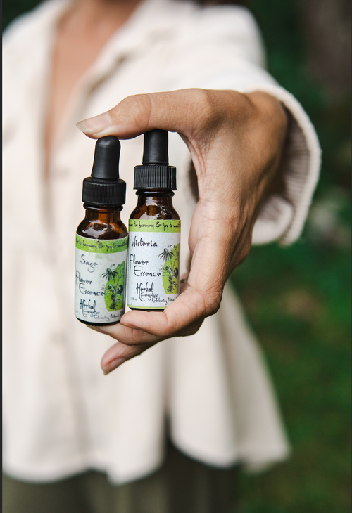 Flower Essence 30 Minute Consult and Remedy