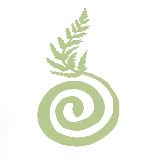 Focused Holistic Health Consultations